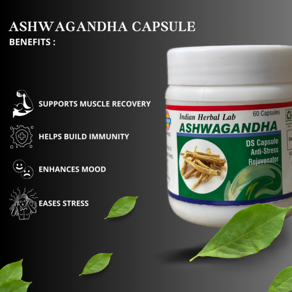 indian herbal lab ihl ashwagandha capsule
